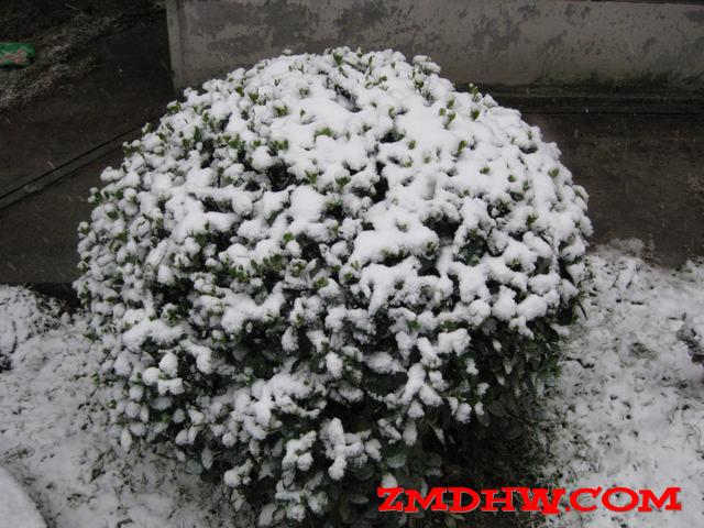 Ƭ 006.jpg
