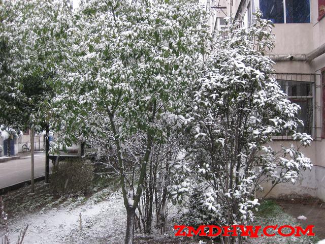 Ƭ 003.jpg