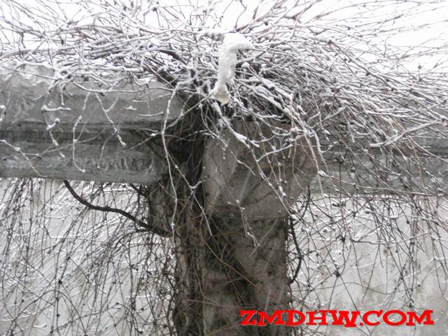 Ƭ 002.jpg