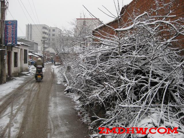 Ƭ 011.jpg