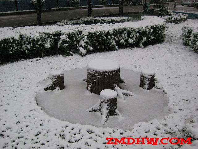 Ƭ 010.jpg