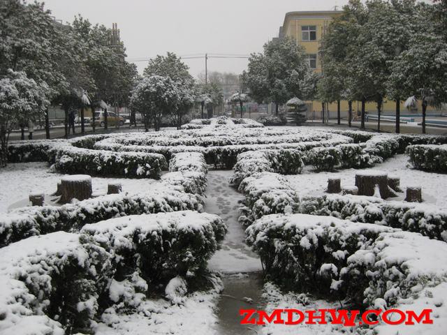 Ƭ 009.jpg