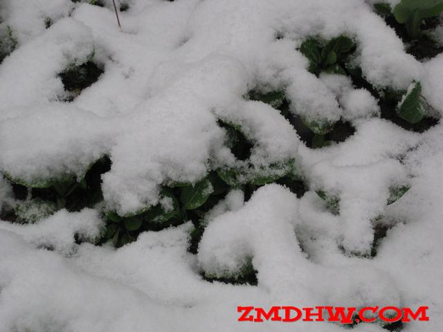 Ƭ 013.jpg