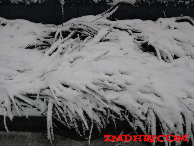 Ƭ 015.jpg