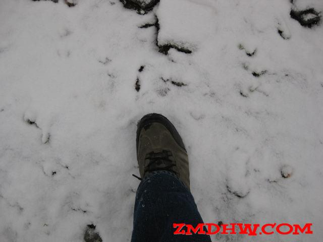 Ƭ 014.jpg