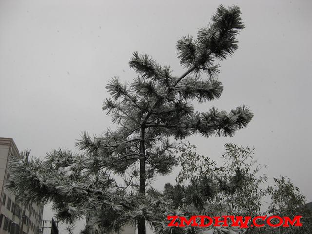Ƭ 017.jpg