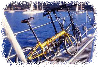 200972603055978.jpg
